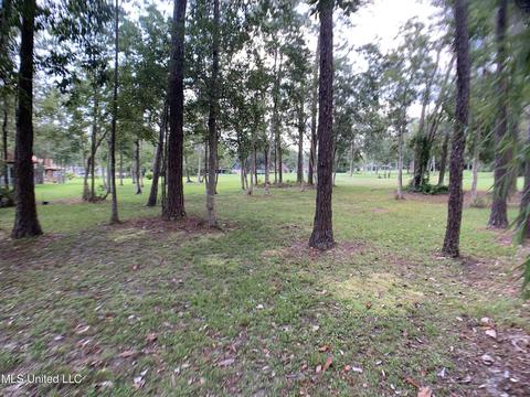 56117 E Diamondhead Dr, Diamondhead, MS 39525 photo 53