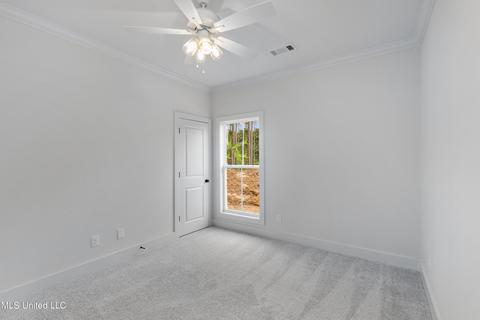 459 Crossvine Pl, Madison, MS 39110 photo 33