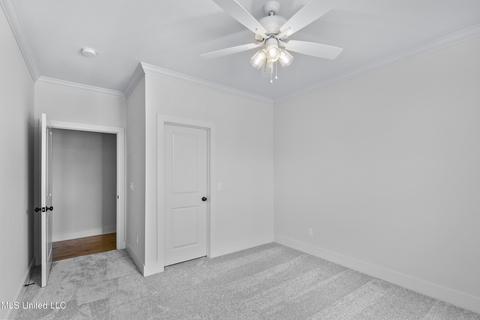 459 Crossvine Pl, Madison, MS 39110 photo 30