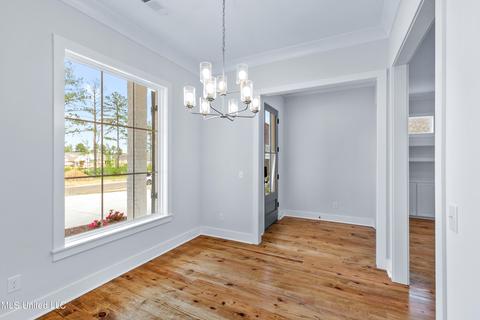 205 Herons Bay Cir, Madison, MS 39110 photo 10