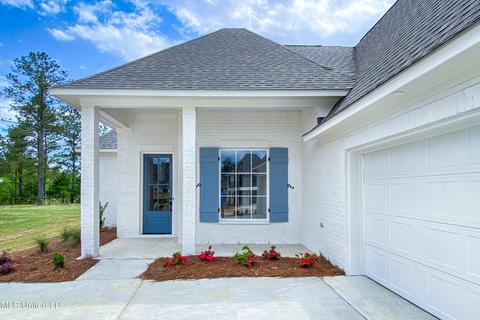 205 Herons Bay Cir, Madison, MS 39110 photo 5