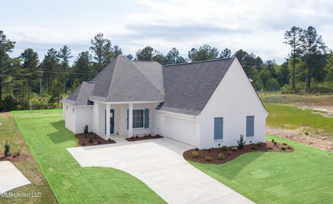 205 Herons Bay Cir, Madison, MS 39110 photo 50