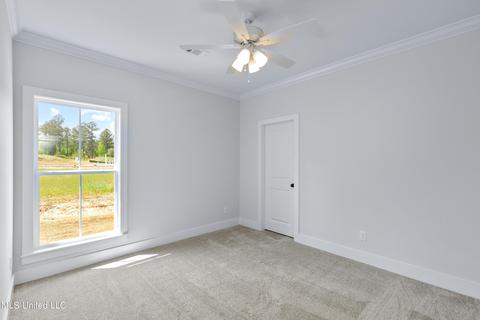 205 Herons Bay Cir, Madison, MS 39110 photo 27