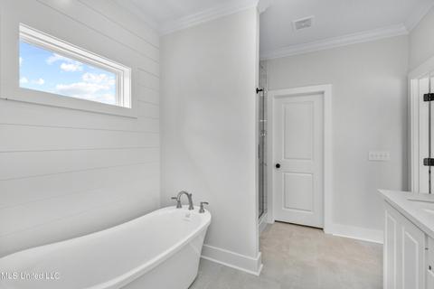 205 Herons Bay Cir, Madison, MS 39110 photo 39
