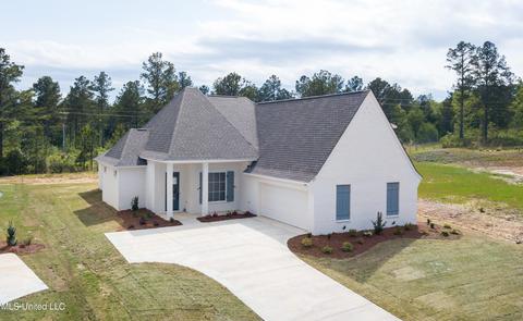 205 Herons Bay Cir, Madison, MS 39110 photo 49