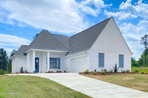 205 Herons Bay Cir, Madison, MS 39110 photo 1