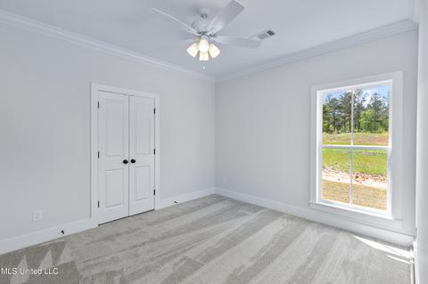 205 Herons Bay Cir, Madison, MS 39110 photo 30