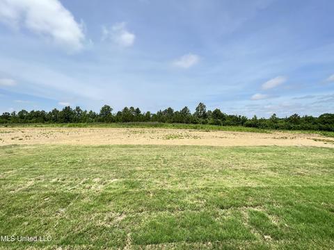 137 Landry Dr, Brandon, MS 39047 photo 62