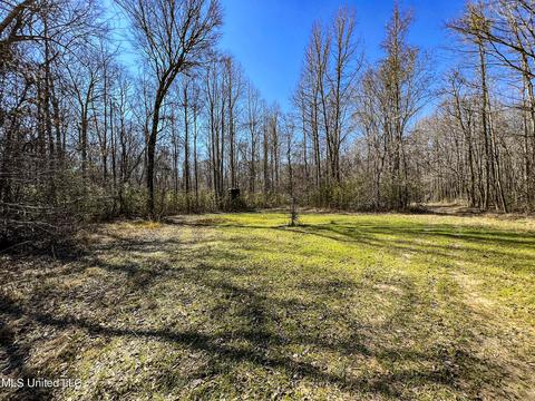 2962 Simon Chapel Rd, Sardis, MS 38666 photo 153