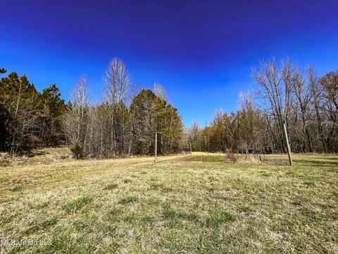 2962 Simon Chapel Rd, Sardis, MS 38666 photo 193