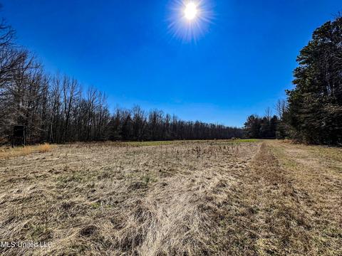 2962 Simon Chapel Rd, Sardis, MS 38666 photo 144