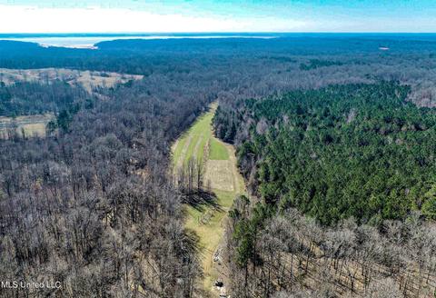 2962 Simon Chapel Rd, Sardis, MS 38666 photo 14