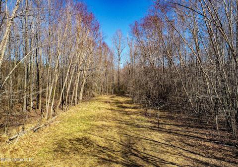 2962 Simon Chapel Rd, Sardis, MS 38666 photo 22