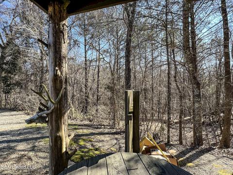 2962 Simon Chapel Rd, Sardis, MS 38666 photo 128