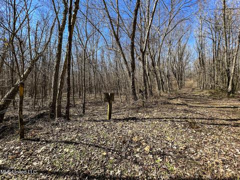2962 Simon Chapel Rd, Sardis, MS 38666 photo 164