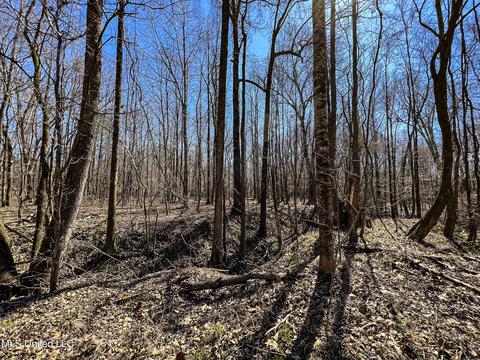 2962 Simon Chapel Rd, Sardis, MS 38666 photo 199