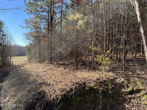 2962 Simon Chapel Rd, Sardis, MS 38666 photo 137