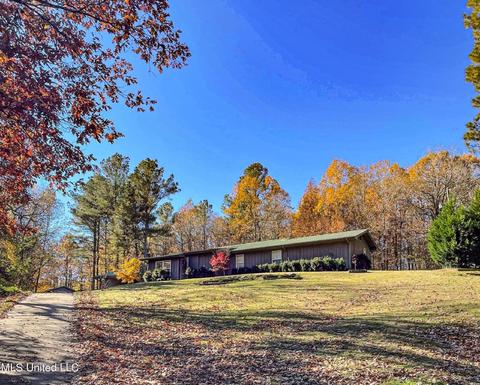 2962 Simon Chapel Rd, Sardis, MS 38666 photo 31