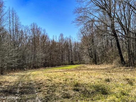 2962 Simon Chapel Rd, Sardis, MS 38666 photo 152