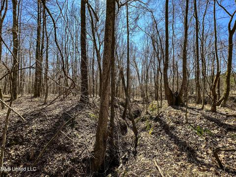 2962 Simon Chapel Rd, Sardis, MS 38666 photo 201