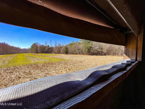 2962 Simon Chapel Rd, Sardis, MS 38666 photo 149