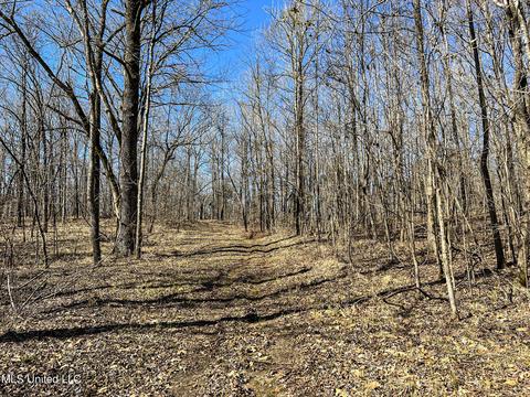 2962 Simon Chapel Rd, Sardis, MS 38666 photo 170