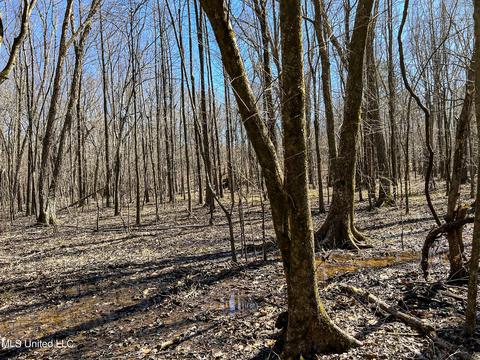2962 Simon Chapel Rd, Sardis, MS 38666 photo 207