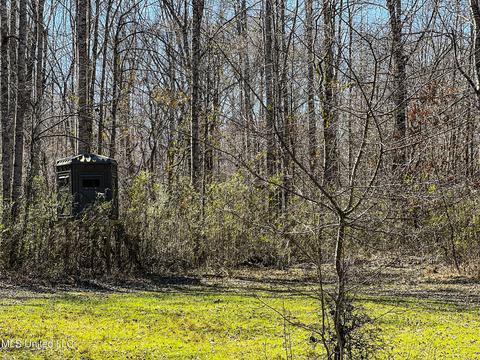2962 Simon Chapel Rd, Sardis, MS 38666 photo 155