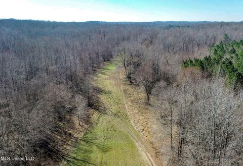 2962 Simon Chapel Rd, Sardis, MS 38666 photo 18