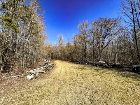 2962 Simon Chapel Rd, Sardis, MS 38666 photo 141