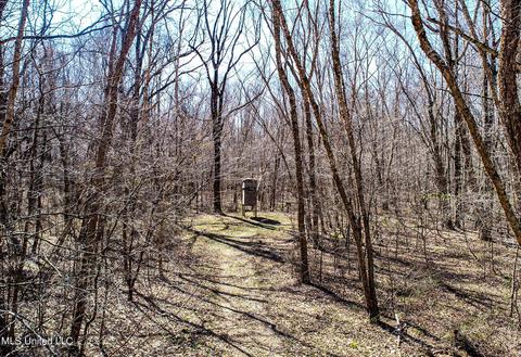2962 Simon Chapel Rd, Sardis, MS 38666 photo 24