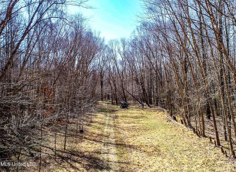 2962 Simon Chapel Rd, Sardis, MS 38666 photo 25