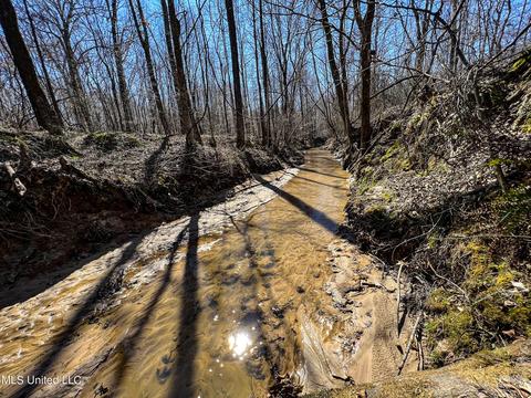 2962 Simon Chapel Rd, Sardis, MS 38666 photo 186