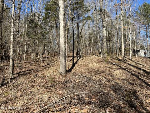 2962 Simon Chapel Rd, Sardis, MS 38666 photo 139