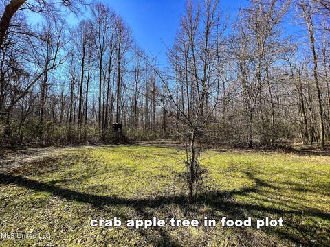 2962 Simon Chapel Rd, Sardis, MS 38666 photo 154