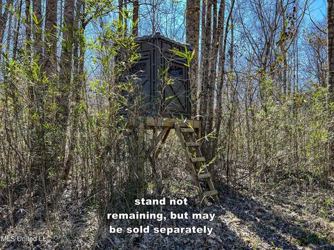 2962 Simon Chapel Rd, Sardis, MS 38666 photo 156