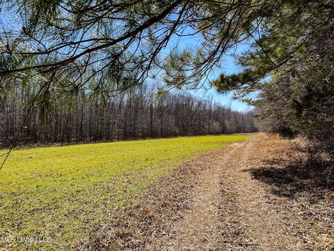 2962 Simon Chapel Rd, Sardis, MS 38666 photo 151