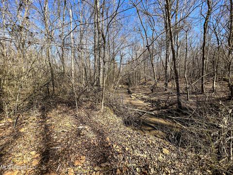 2962 Simon Chapel Rd, Sardis, MS 38666 photo 168