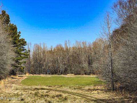 2962 Simon Chapel Rd, Sardis, MS 38666 photo 184