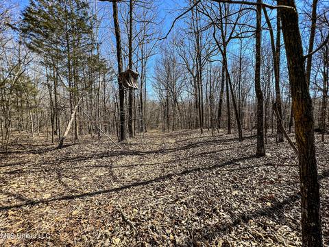 2962 Simon Chapel Rd, Sardis, MS 38666 photo 179