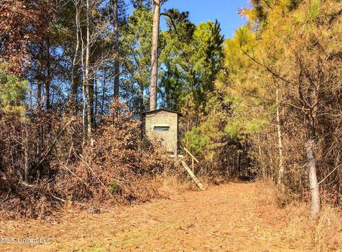 2962 Simon Chapel Rd, Sardis, MS 38666 photo 192