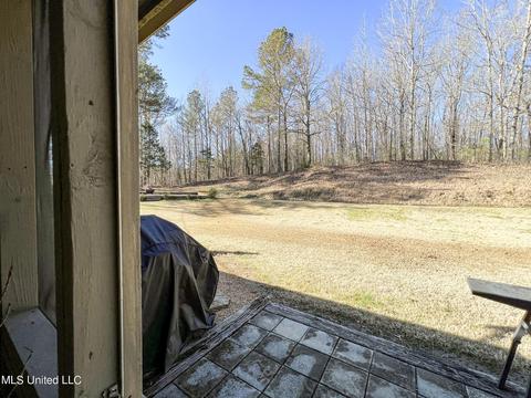 2962 Simon Chapel Rd, Sardis, MS 38666 photo 87
