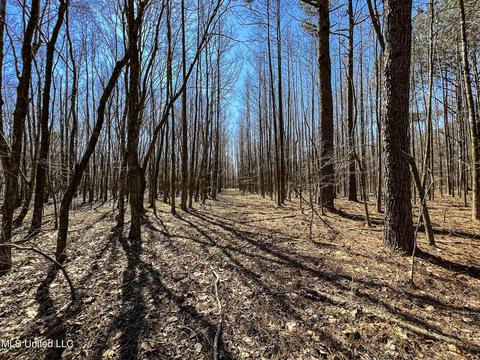 2962 Simon Chapel Rd, Sardis, MS 38666 photo 196
