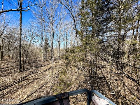 2962 Simon Chapel Rd, Sardis, MS 38666 photo 176