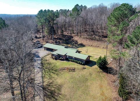 2962 Simon Chapel Rd, Sardis, MS 38666 photo 26