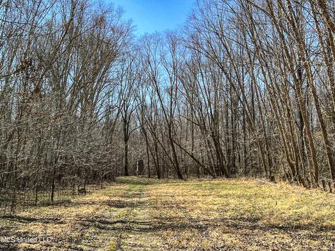 2962 Simon Chapel Rd, Sardis, MS 38666 photo 161