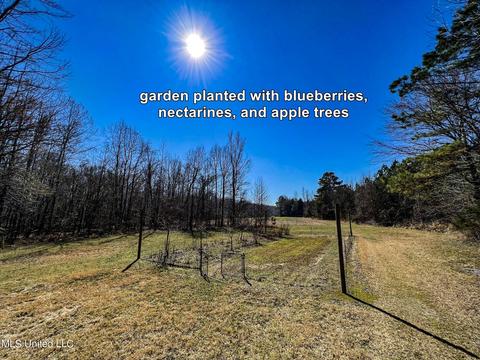 2962 Simon Chapel Rd, Sardis, MS 38666 photo 140