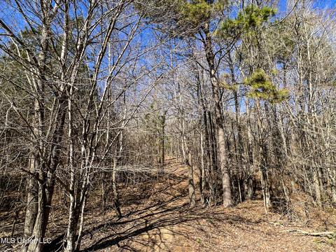 2962 Simon Chapel Rd, Sardis, MS 38666 photo 143