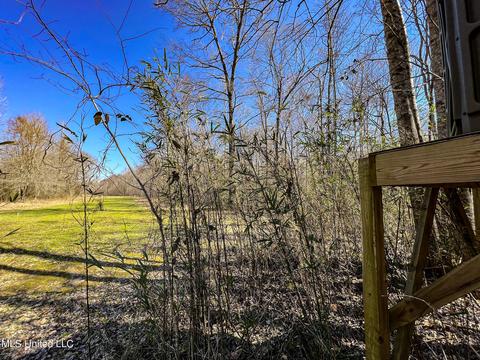 2962 Simon Chapel Rd, Sardis, MS 38666 photo 157