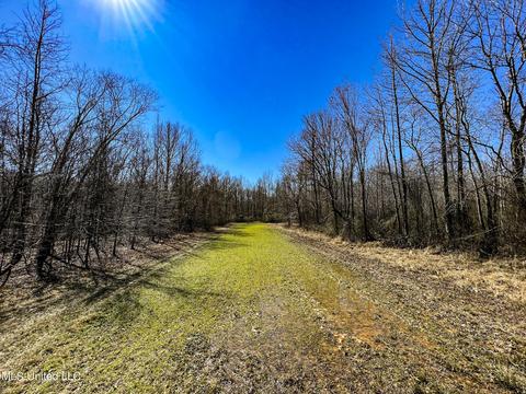 2962 Simon Chapel Rd, Sardis, MS 38666 photo 181
